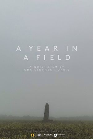 A Year in a Field