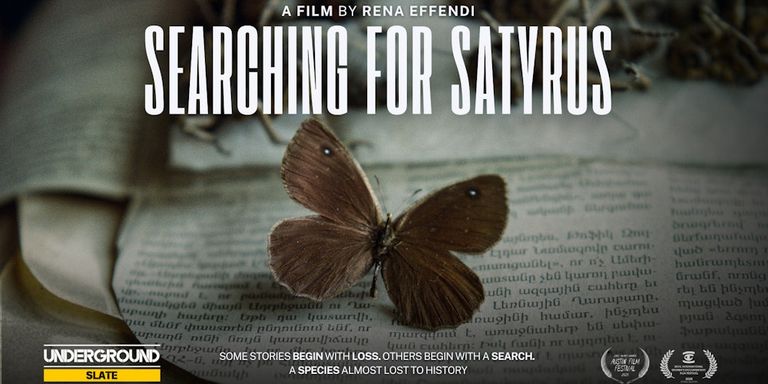 Searching for Satyrus