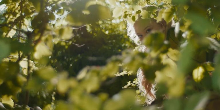 The Magic Faraway Tree