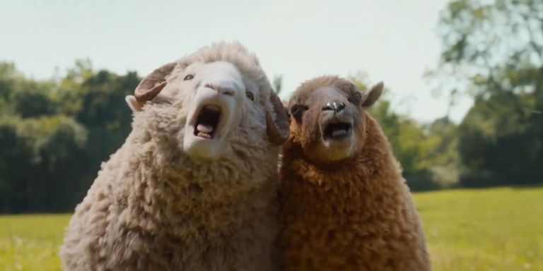 The Sheep Detectives