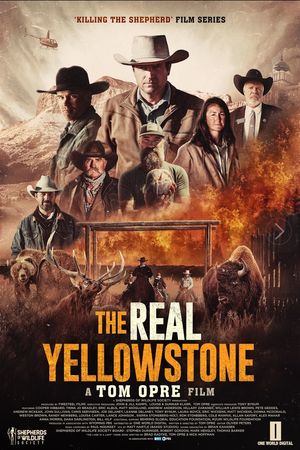 The Real Yellowstone