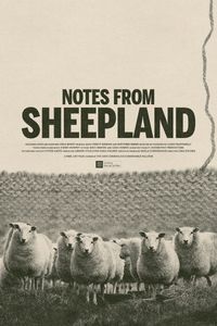 Notes From Sheepland