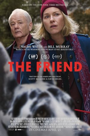The Friend